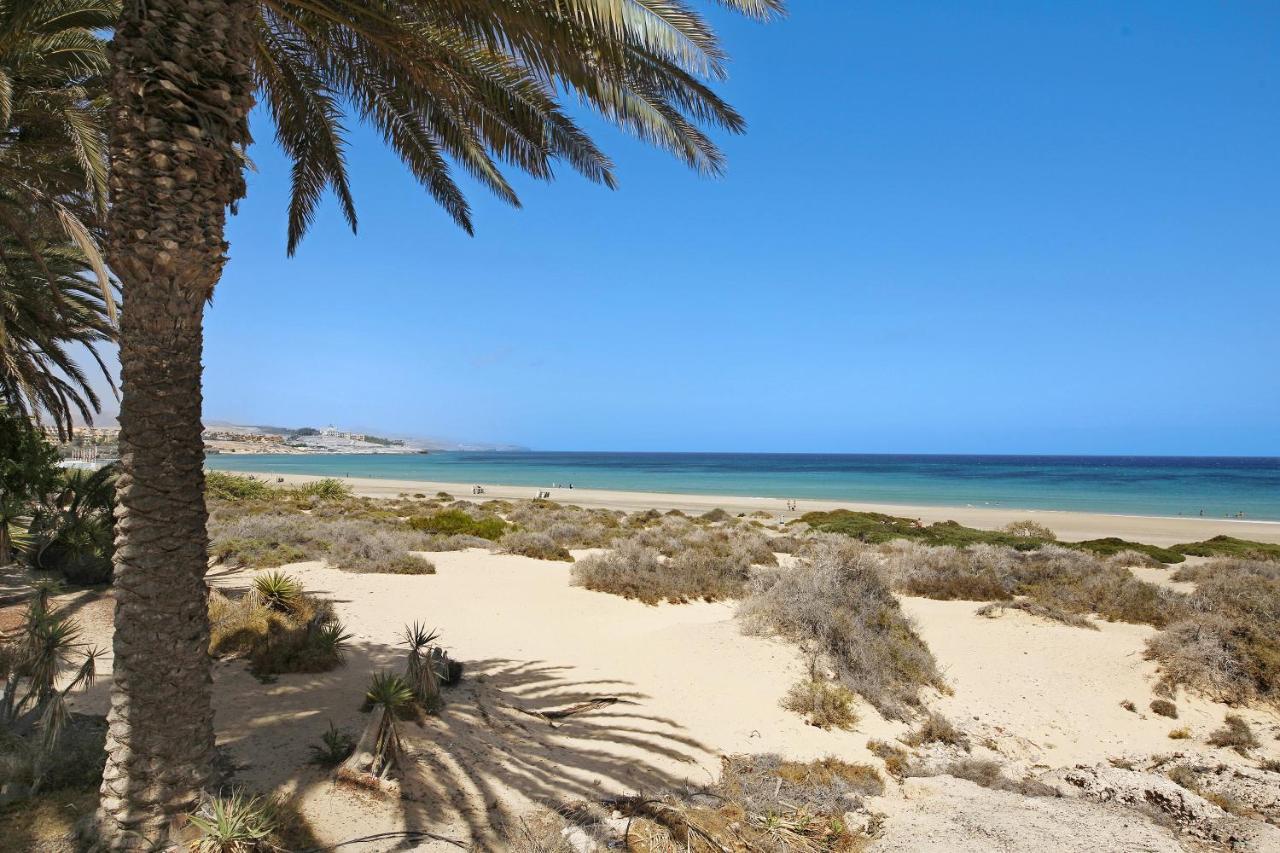 Bahia Vista Lägenhet Costa Calma Exteriör bild